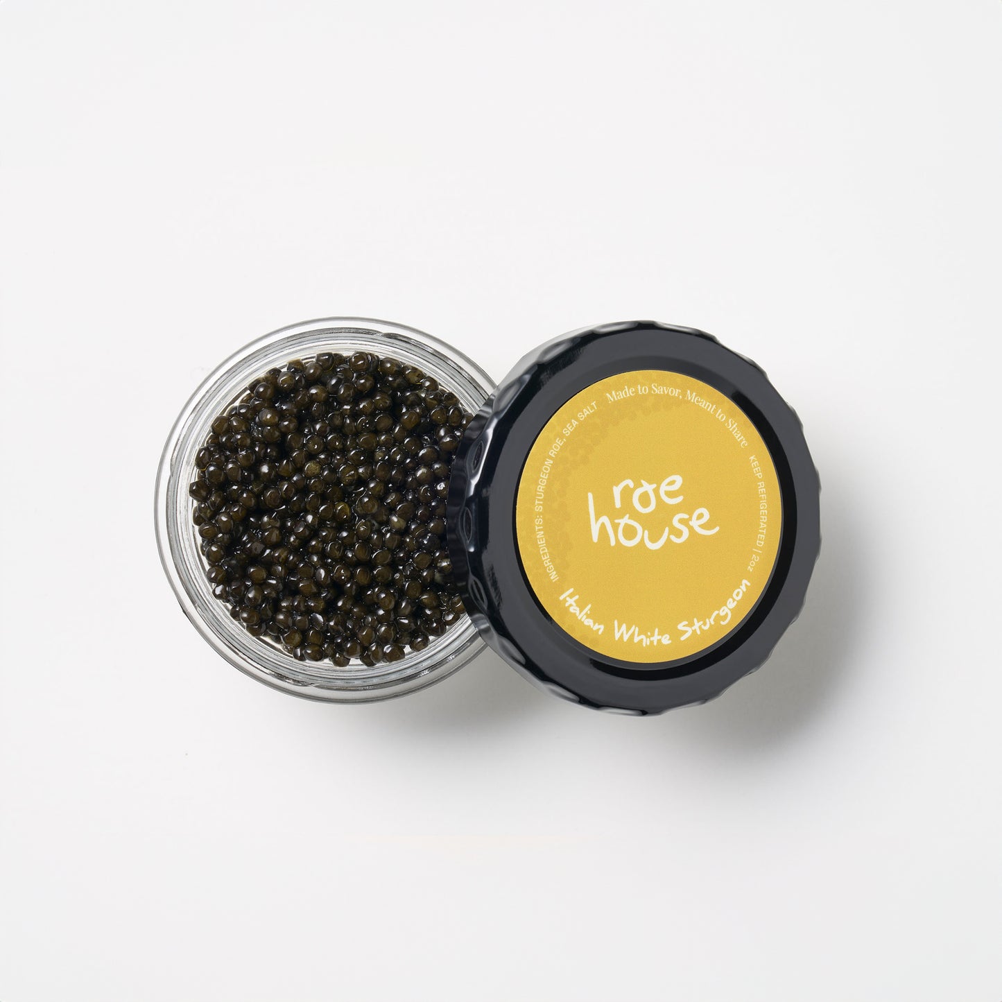 Italian White Sturgeon