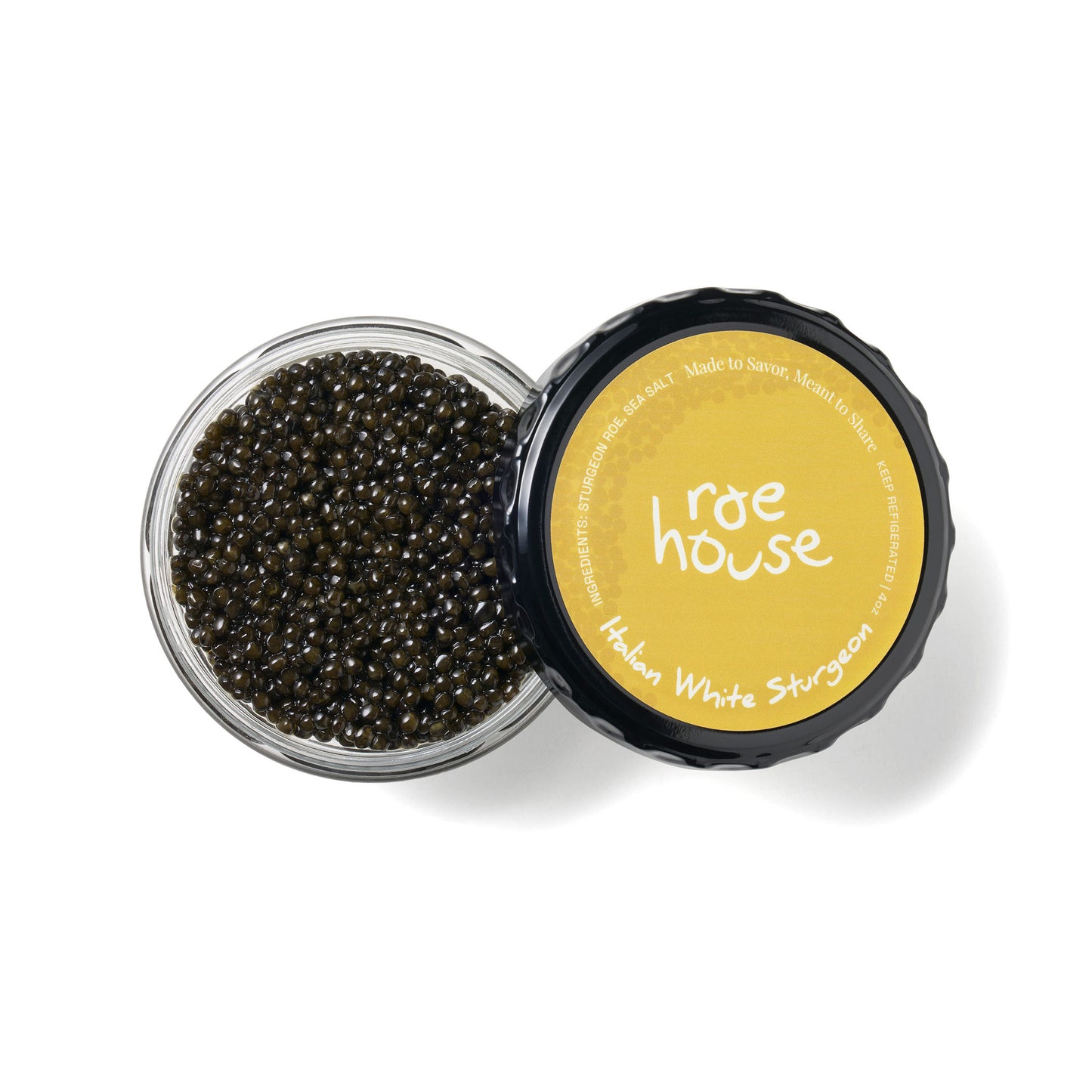 Italian White Sturgeon