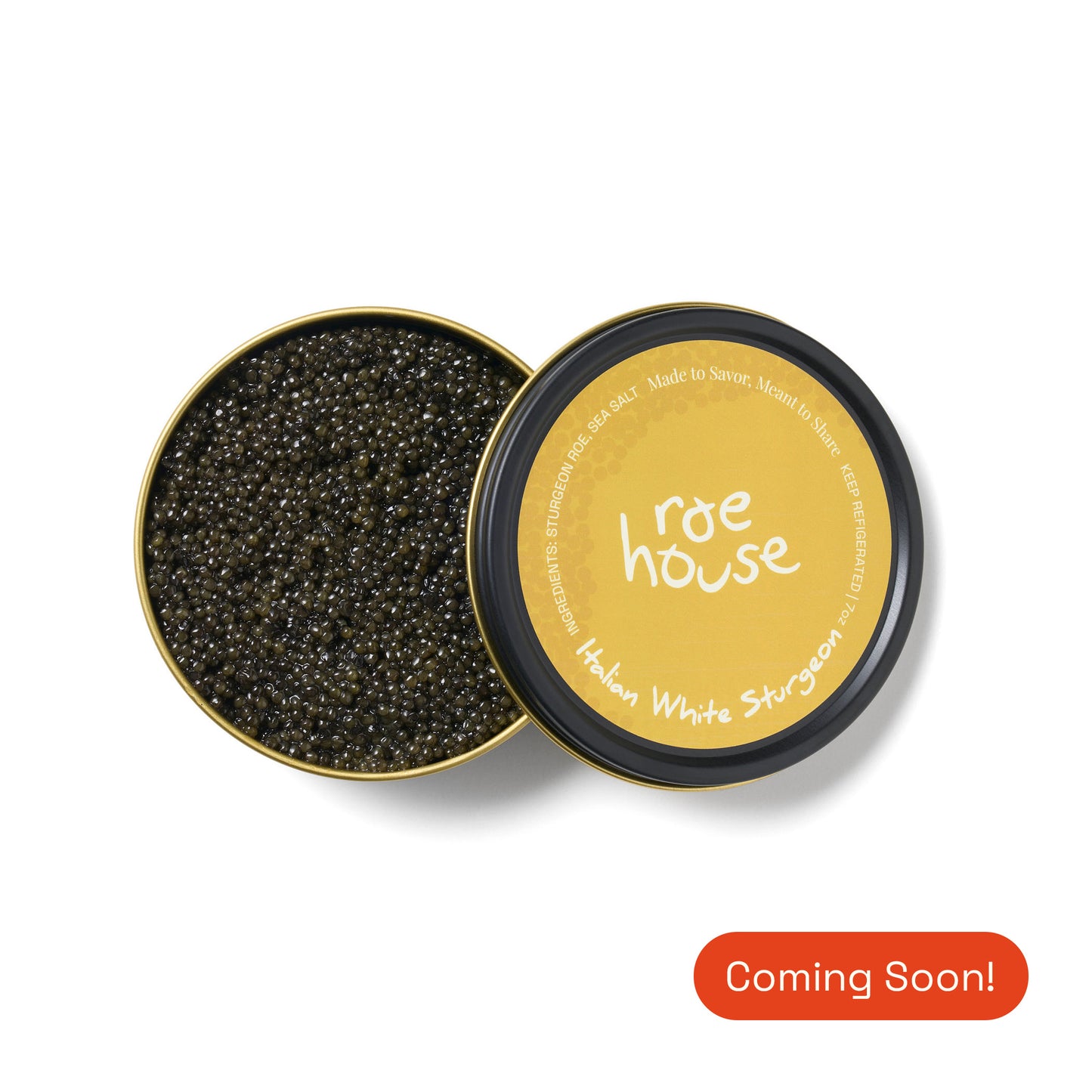 Italian White Sturgeon