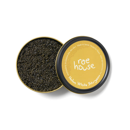 Italian White Sturgeon