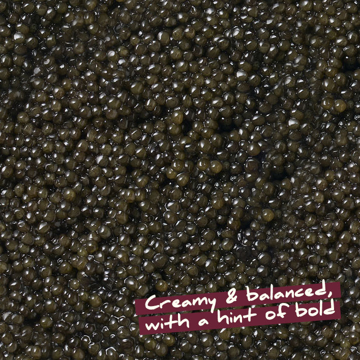 Polish Siberian Caviar